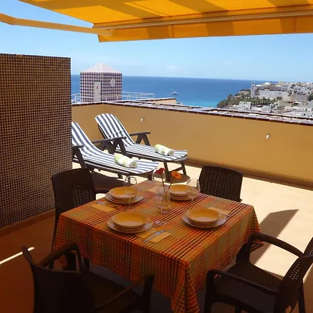 Tajinaste Terras Morro Jable (Fuerteventura)